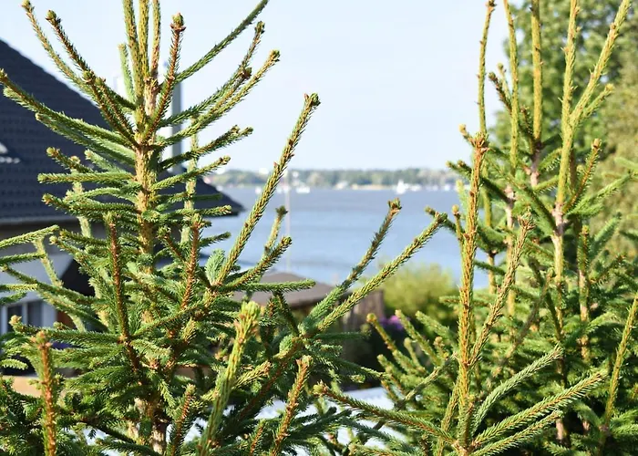 Casa vacanze Lovely In With Kitchen Mścice